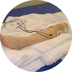 Biophysical Agents Special Interest Group Biophysical Agents Special Interest Group