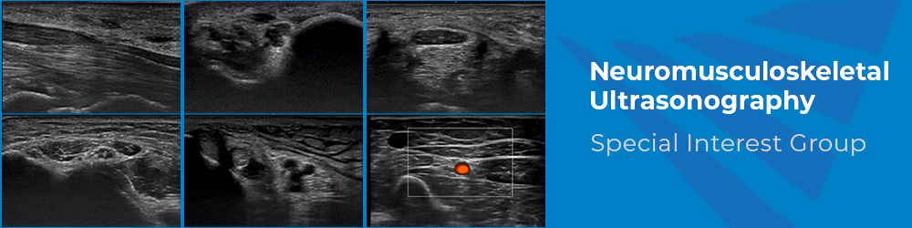 Neuromusculoskeletal Ultrasonography Special Interest Group Neuromusculoskeletal Ultrasonography Special Interest Group
